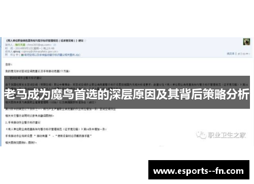 老马成为魔鸟首选的深层原因及其背后策略分析 老马成为魔鸟首选的深层原因及其背后策略分析