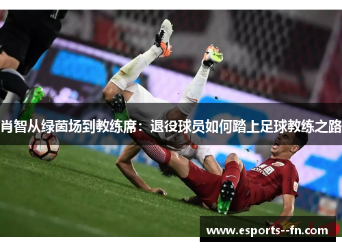 肖智从绿茵场到教练席：退役球员如何踏上足球教练之路
