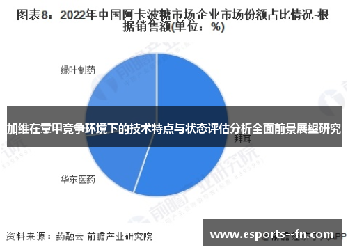 加维在意甲竞争环境下的技术特点与状态评估分析全面前景展望研究 加维在意甲竞争环境下的技术特点与状态评估分析全面前景展望研究