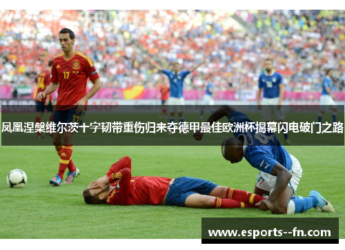 凤凰涅槃维尔茨十字韧带重伤归来夺德甲最佳欧洲杯揭幕闪电破门之路