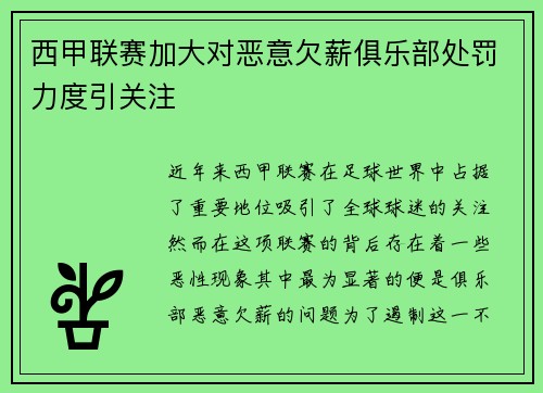 西甲联赛加大对恶意欠薪俱乐部处罚力度引关注
